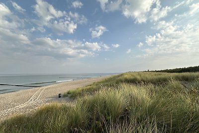 Finnhütte Robbe mit Sauna direkt an der Ostsee