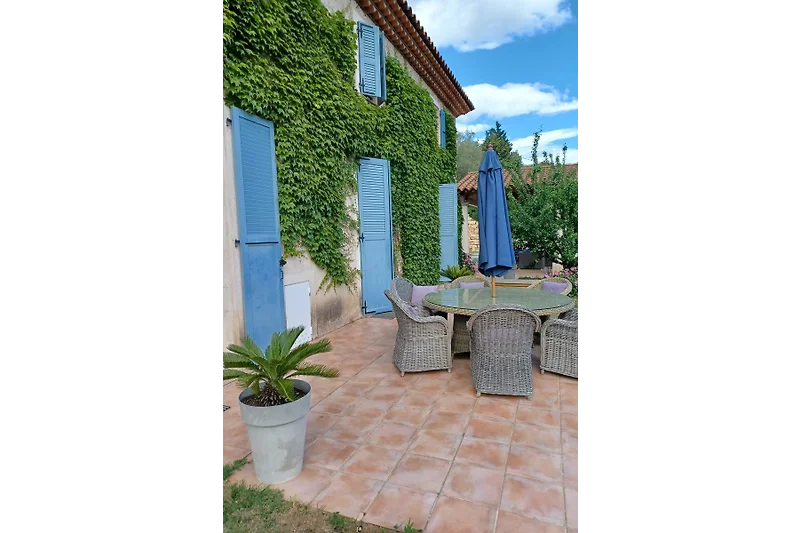 Schattiger Garten mit Palmen und gepflegtem Innenhof.