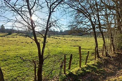 Ferienwohnung Ravelblick in Roetgen