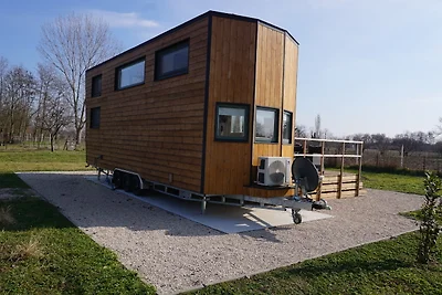 Designer Tiny House
