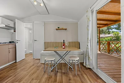 Resort Standard Mobile Home (4+2)