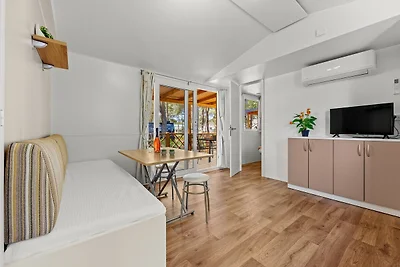 Resort Standard Mobile Home (4+2)