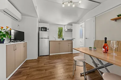 Resort Standard Mobile Home (4+2)
