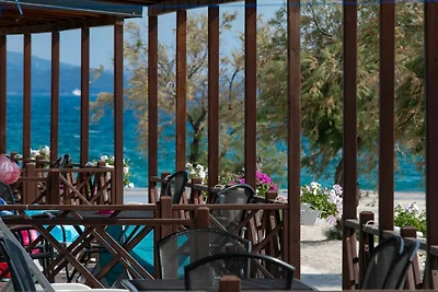 Resort Premium Mobilheim (4+1) dire