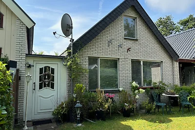 De Belkmer Duinen