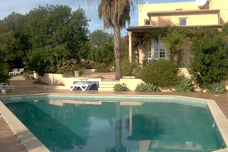 Großer Pool mit Sonnenliegen und Palmen im tropischen Garten.