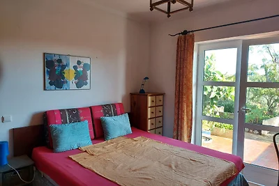 vila viva