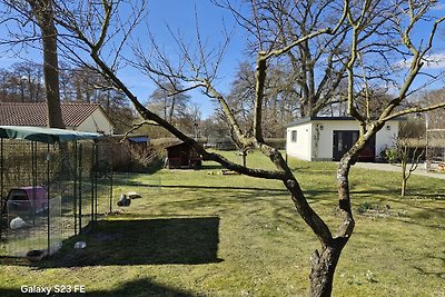 Fereinwohnung am Herrensteig und Mirower See