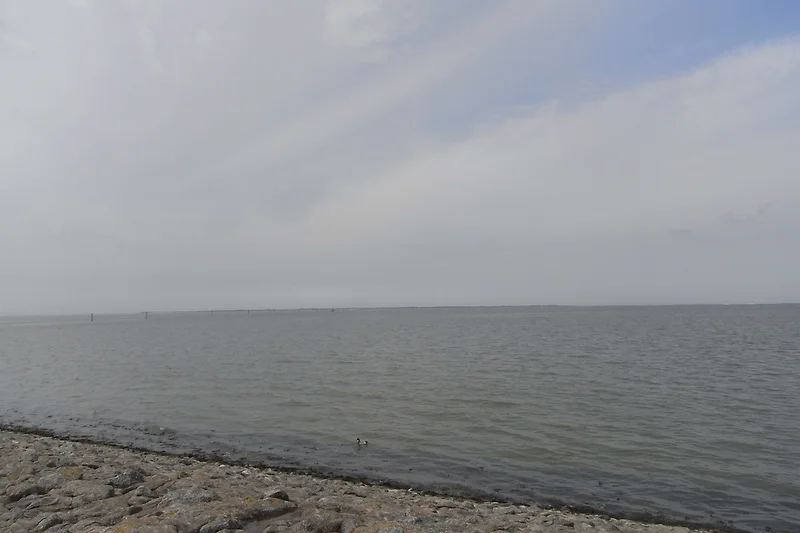 Die Nordsee ist nicht weit entfernt.