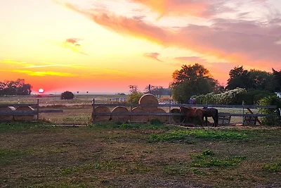 Bernsteinsuite Ostseeperle auf der Sonneninsel Usedom