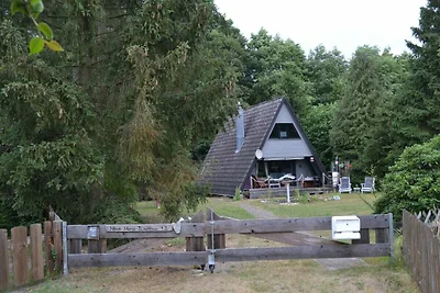 Heide-Marie
