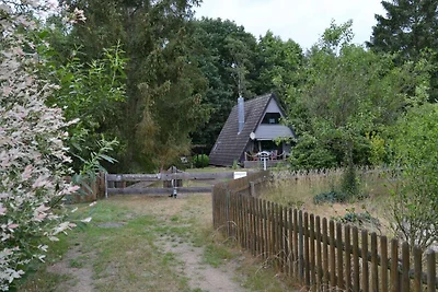 Heide-Marie