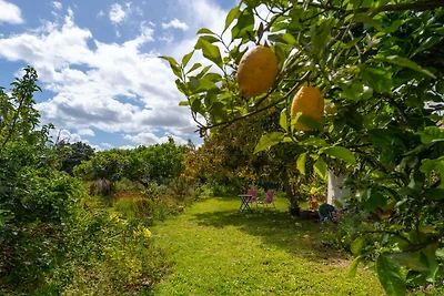 Orchard House