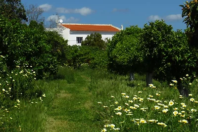 Orchard House