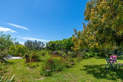 Orchard House