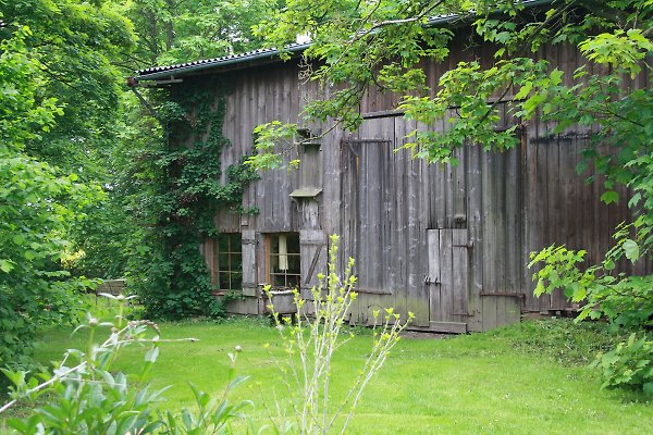 Ferienhaus Carinerland