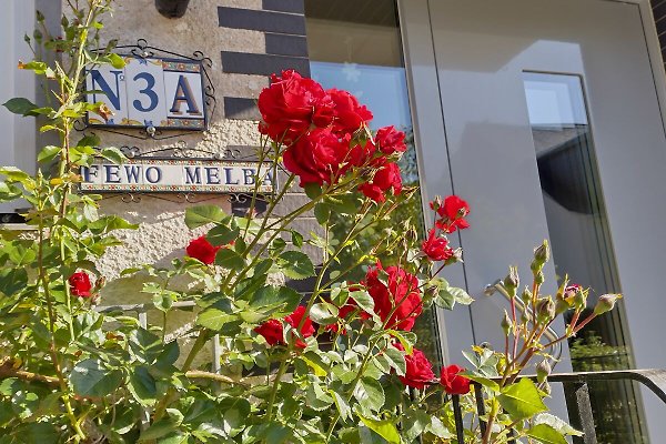 Ferienwohnung Traben-Trarbach
