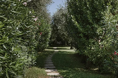 Minerva holidayhome - Appartamento Gardenia