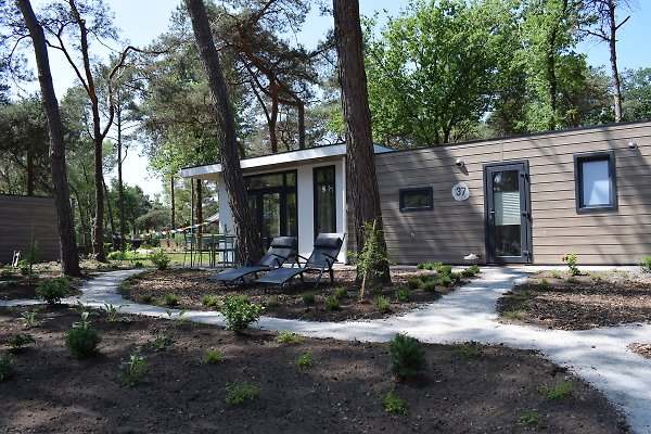 Ferienhaus Haarle