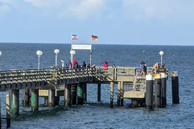 Seescherbe