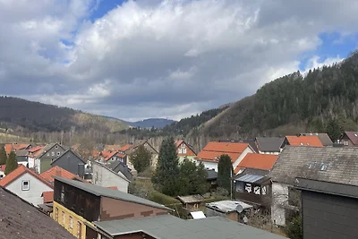 Familienglück Lautenthal