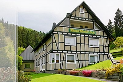 Haus Wald-Eck zw. Winterberg