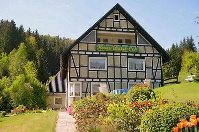 Haus Wald-Eck, zw. Winterberg