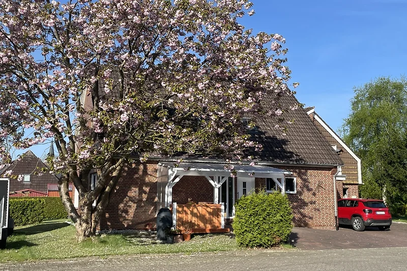 Haus mit großem Garten und Bäumen.