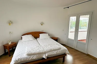 Rosa 34