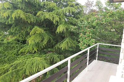 Apartman Meri