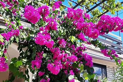 Apartman Meri