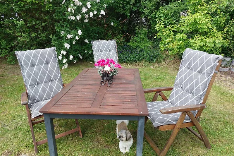Holzmöbel-Set mit Klappstühlen und Pflanzen im Freien.