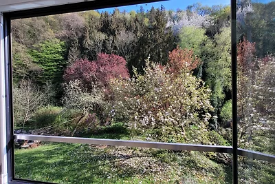 Waldluft Linz