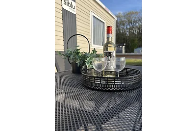 Chalet Drentse Lente