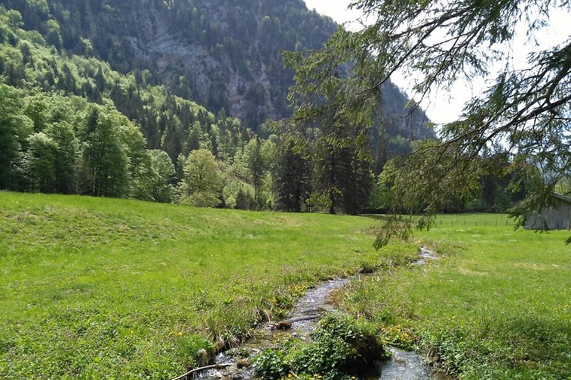 Ein Bach am Wanderweg rund um den Falkenstein