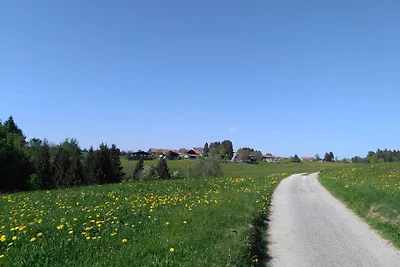 Ferienhaus Hettich