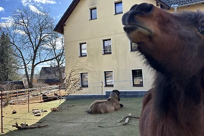 Von den Hundertelfen