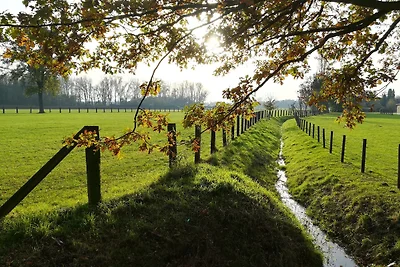 Zwischen Münsterland&Ruhrgebiet