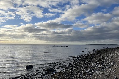 Insel Aarø 252