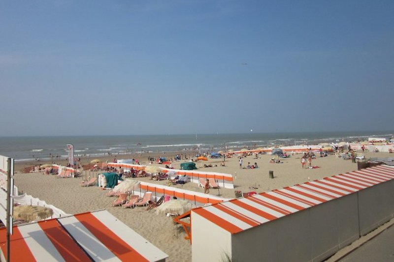 Strand De Haan