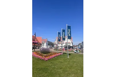 Schmitz 2