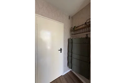 Boshuisje Koolmees