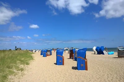 Maltes-Ostseekoje