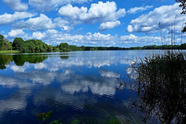 Ferienwohnung Neu Poserin