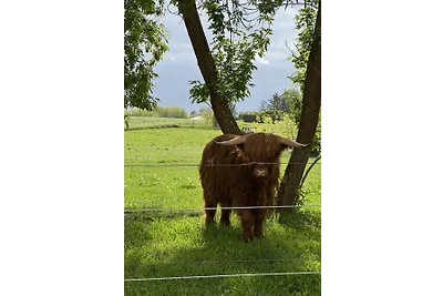 Ferienhaus Seekieker