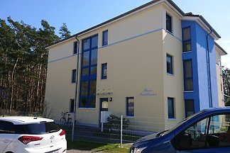Waldkauz 3