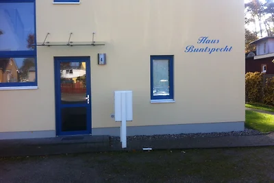 Buntspecht 12