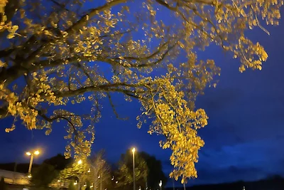Schmuckkästchen