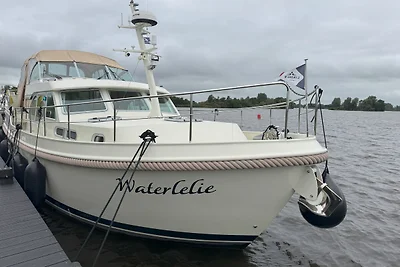 Waterlelie