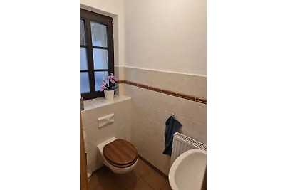 Apartment am Boselgarten